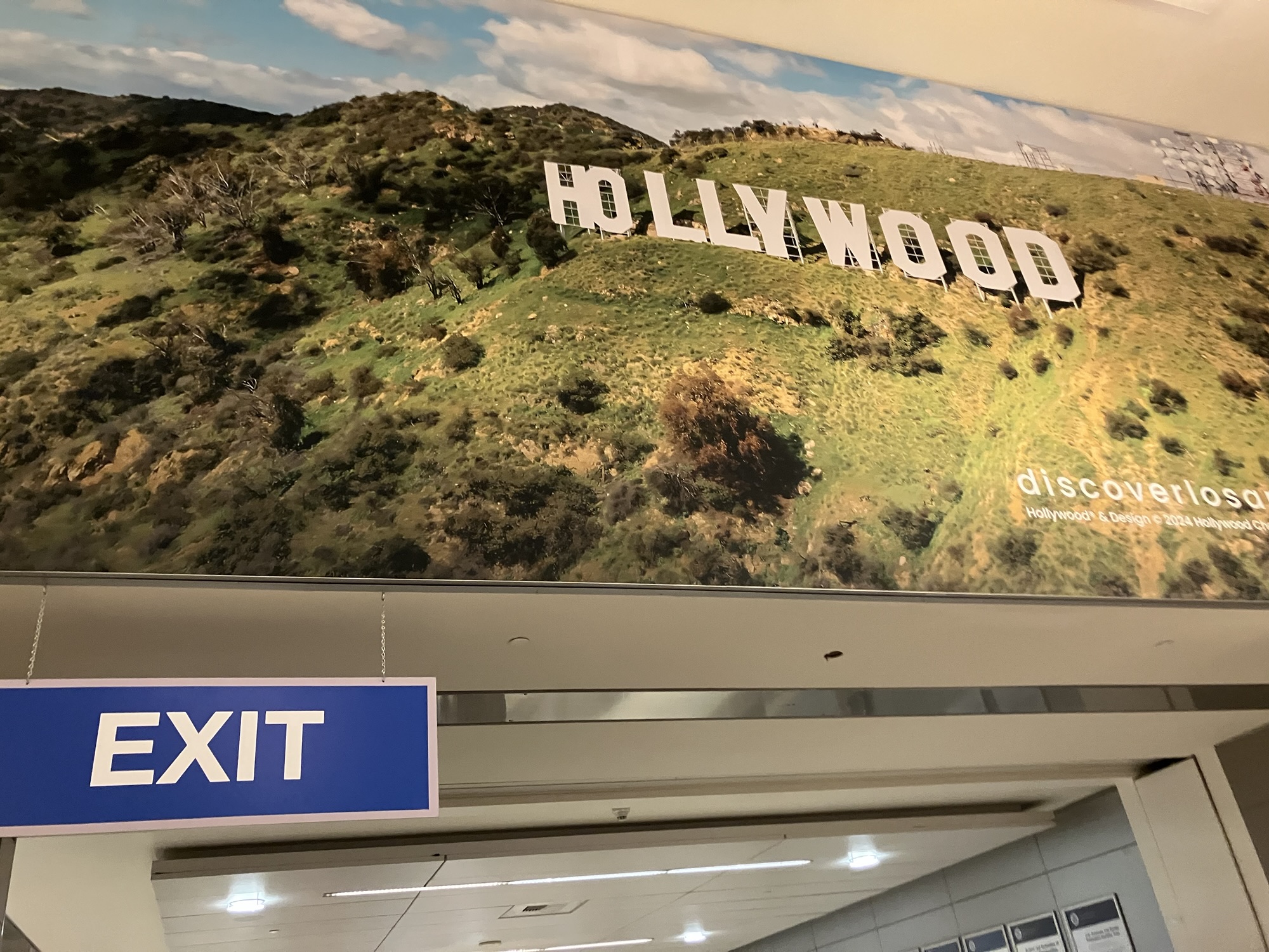 【アメリカン航空 搭乗記②】羽田発ロサンゼルス経由カンクン行き|ロサンゼルス(LAX)空港トランジット完全レポ